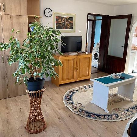 Micin Dom Apartment Пирот Екстериор снимка
