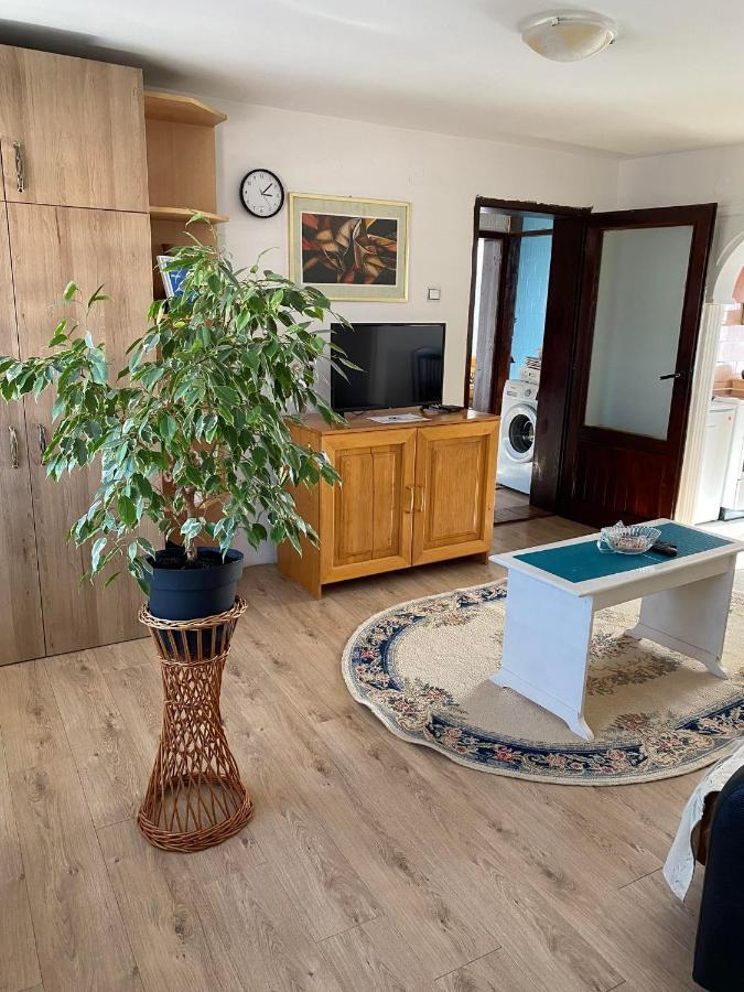 Micin Dom Apartment Пирот Екстериор снимка