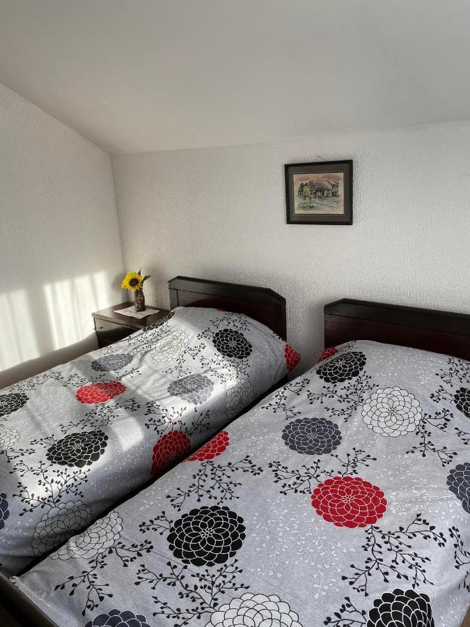 Micin Dom Apartment Пирот Екстериор снимка